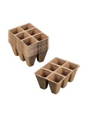 Bespoke Six Hole Pulp Tray